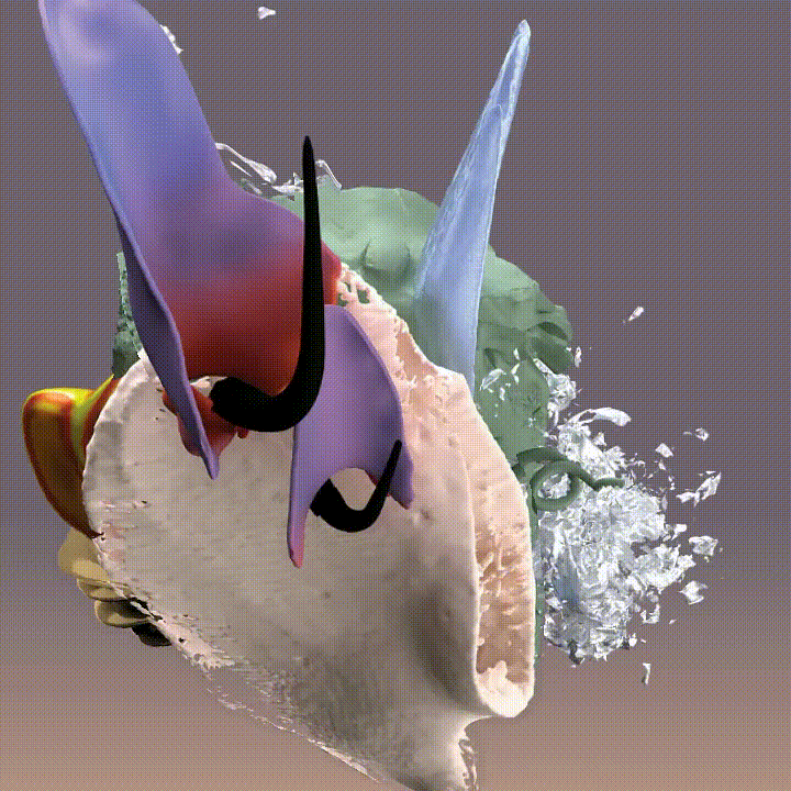 bloom2_animation.gif