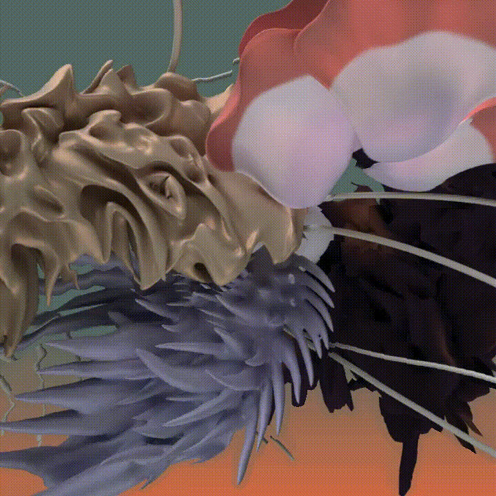 roots2_animation.gif