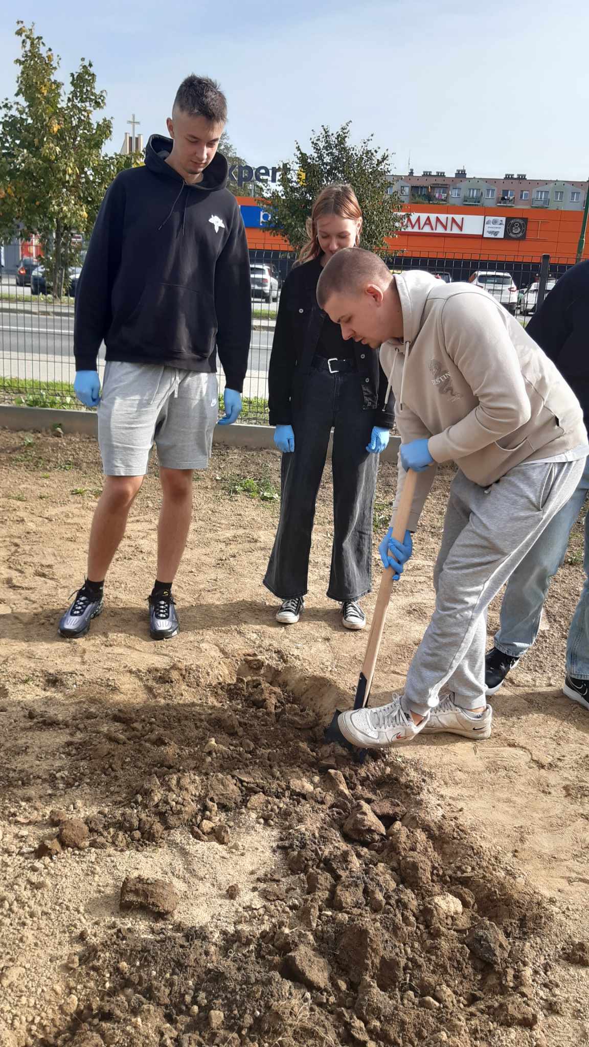Samorząd Uczniowski sadzi żonkile!