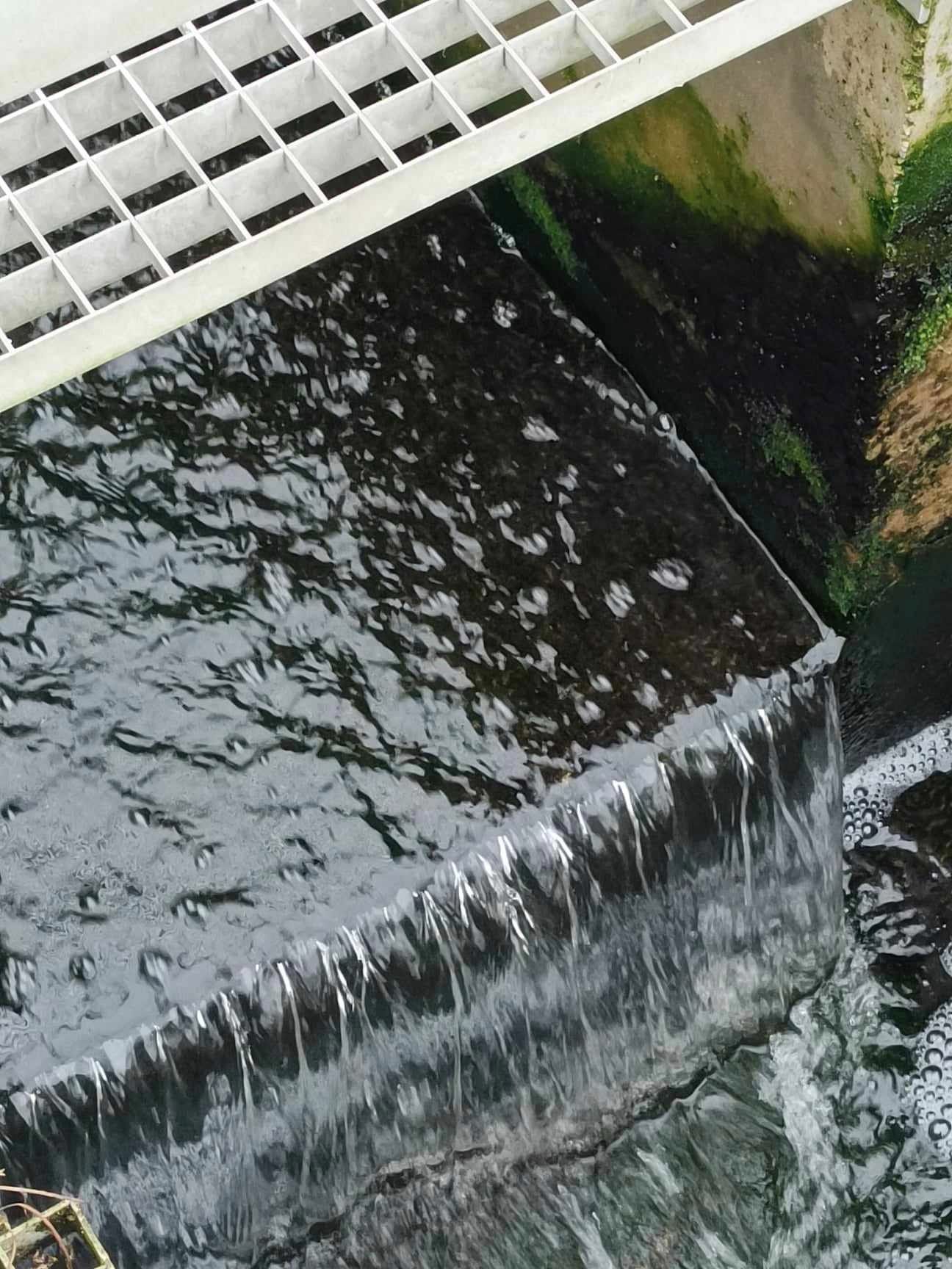 Ścieki odnawialnym źródłem energii?