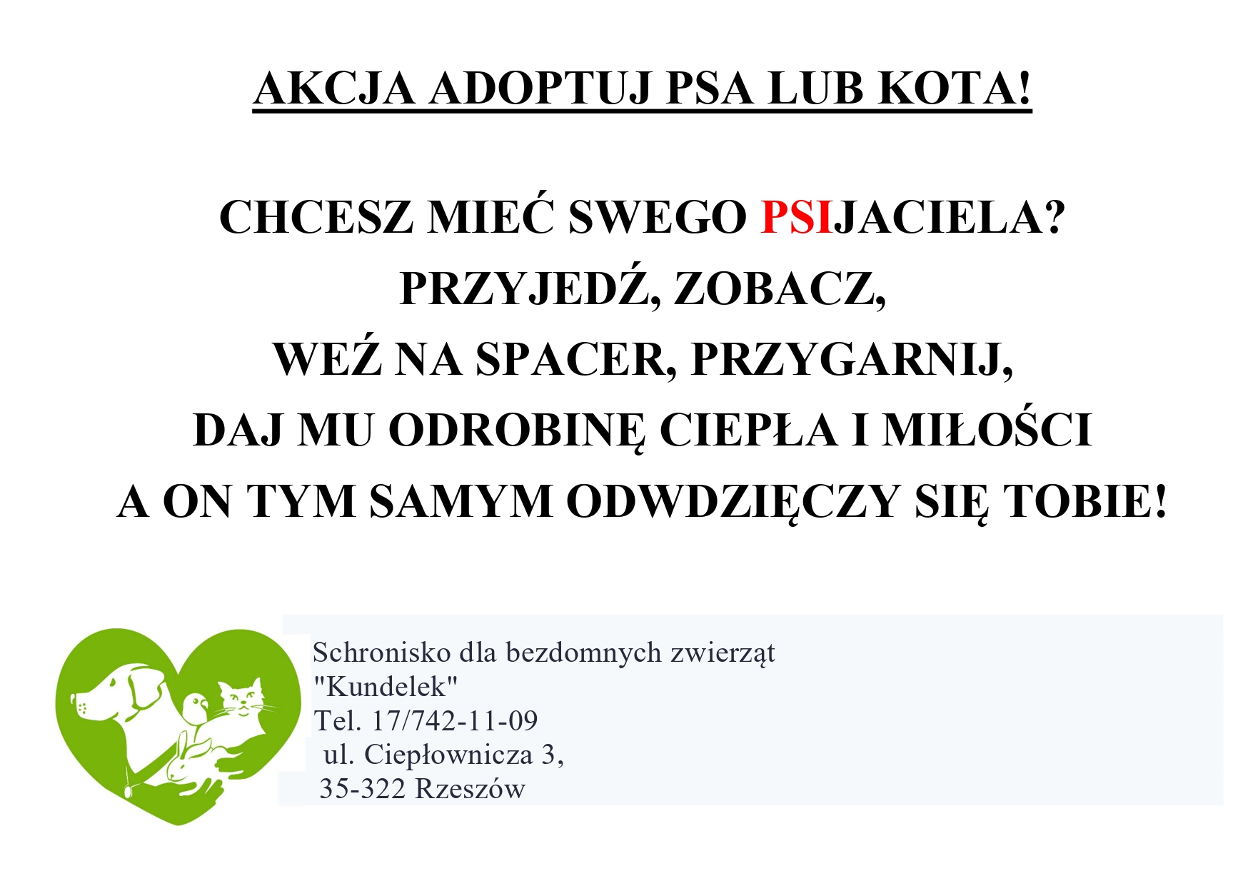 Akcja adopcja