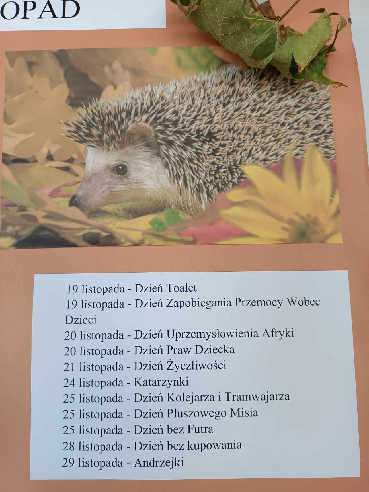 Kalendarz Ekologiczny