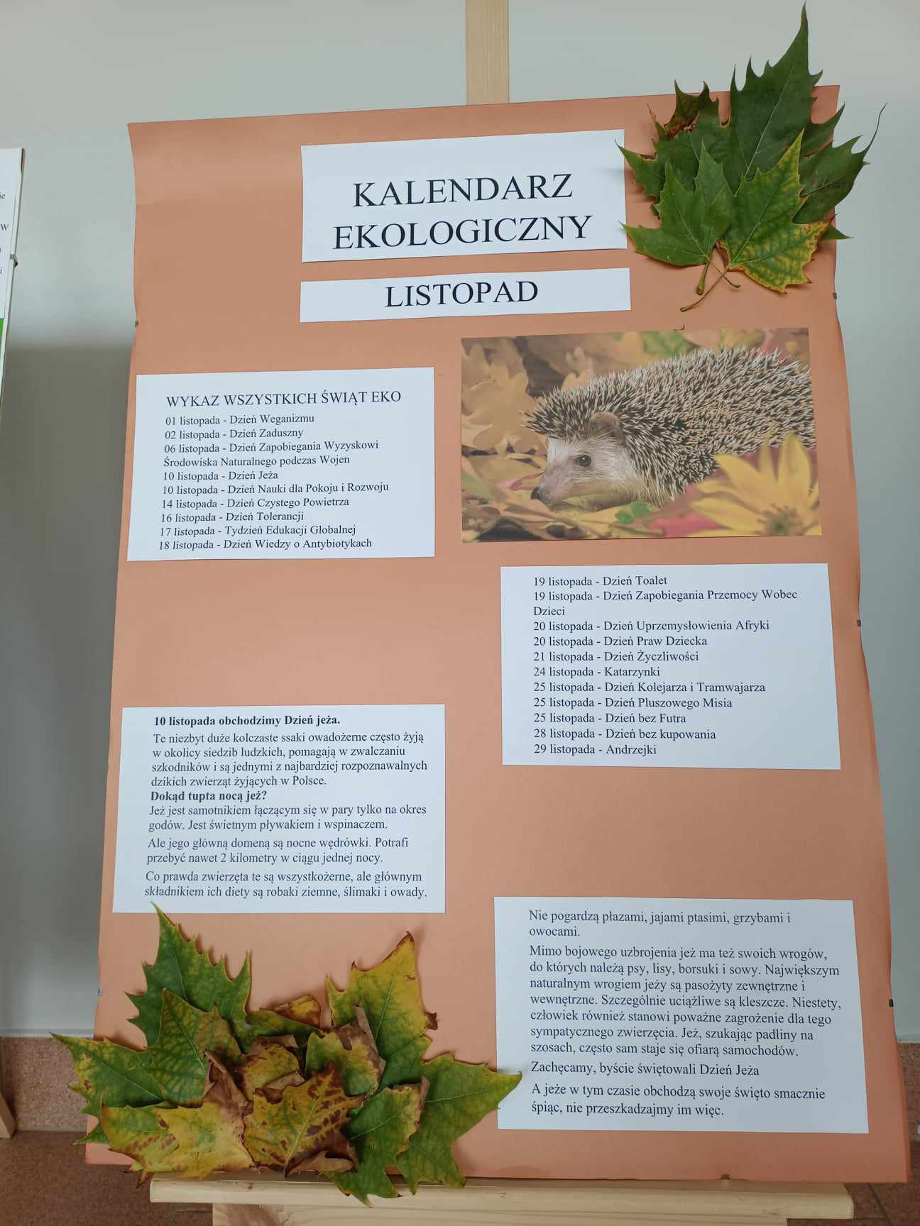 Kalendarz Ekologiczny
