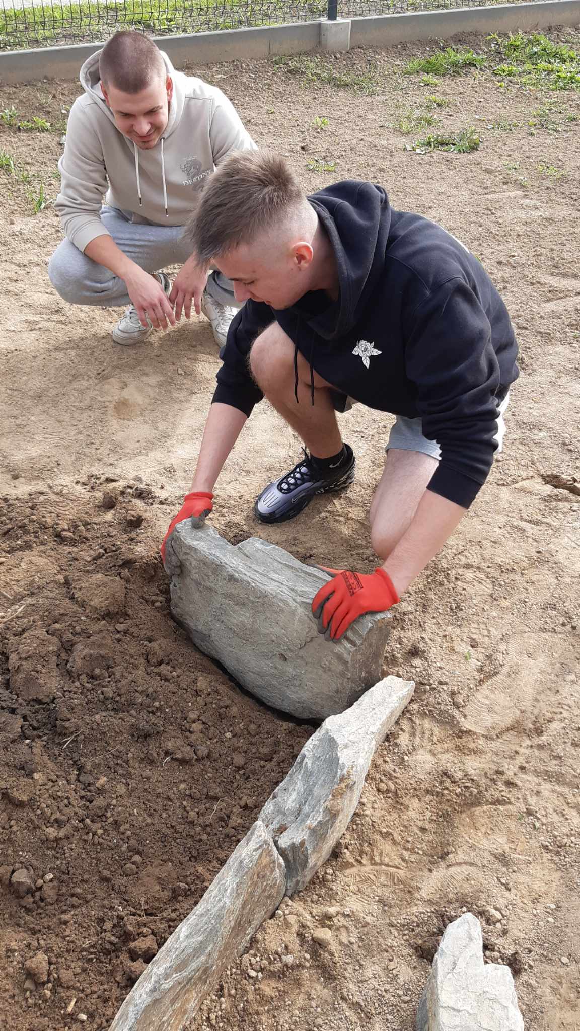 Samorząd Uczniowski sadzi żonkile!