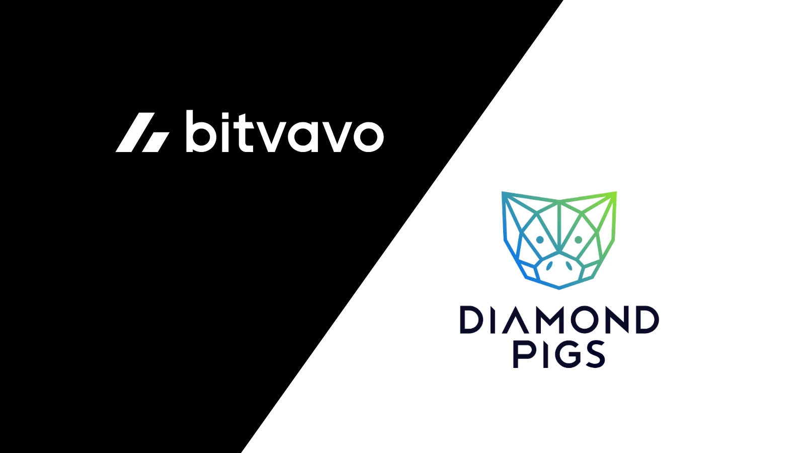 New Partnership: Bitvavo x Diamond Pigs | Bitvavo.com