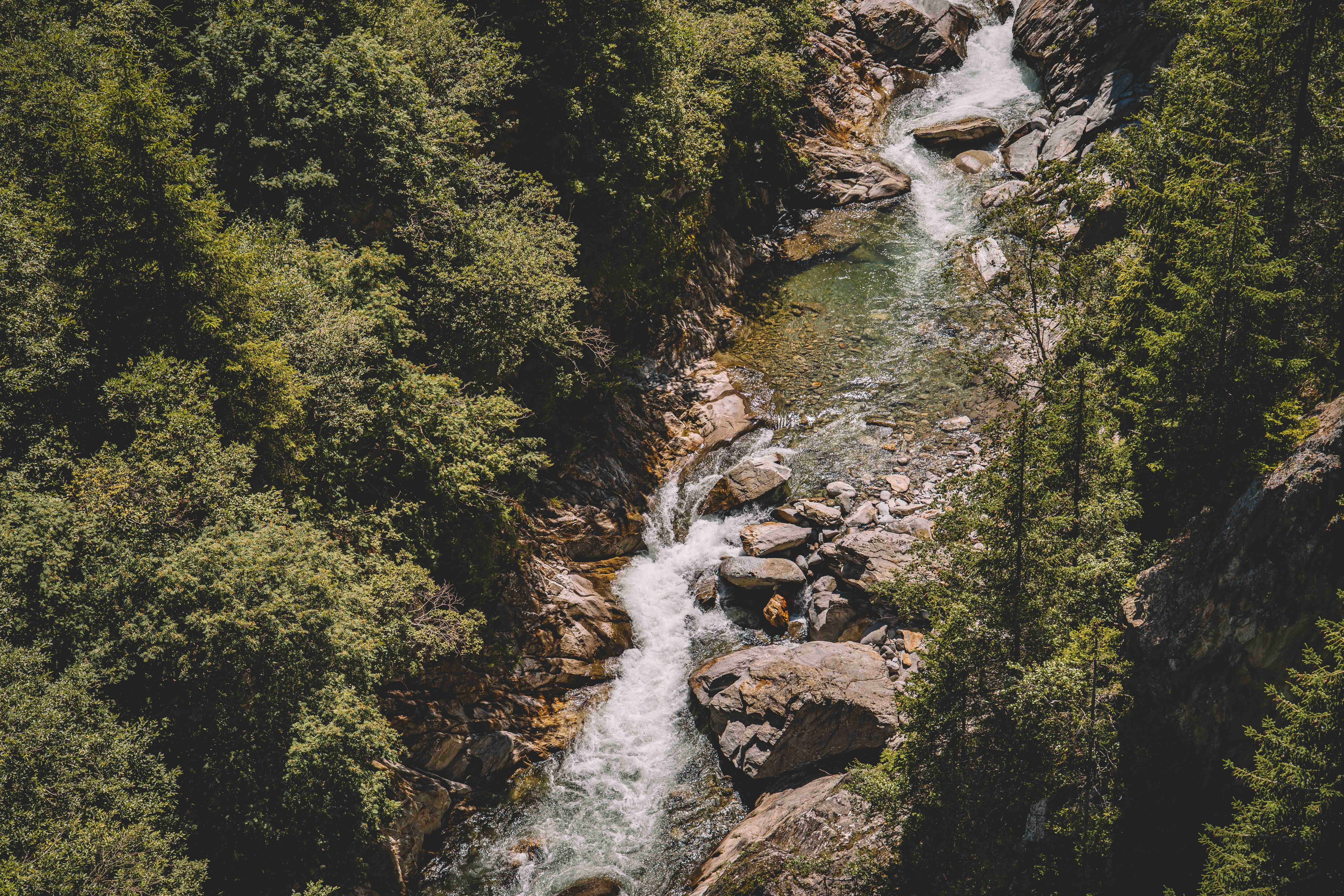 Image 61