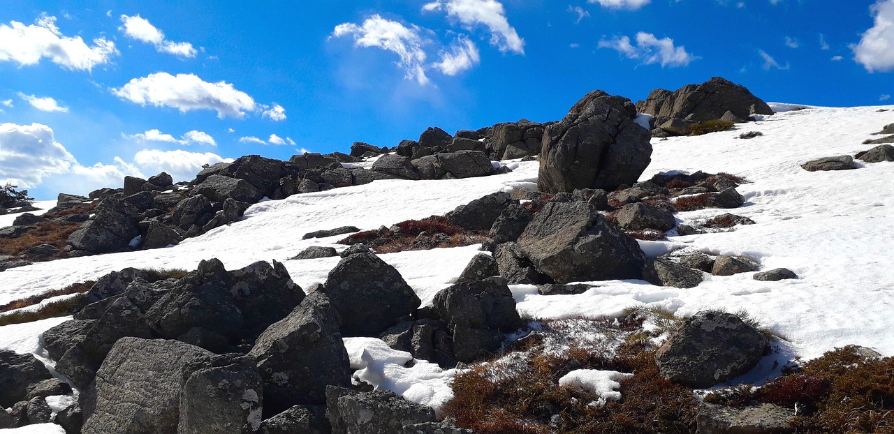 Interakcje suplementy–leki czyli paradoksy kliniczne w leczeniu bólu