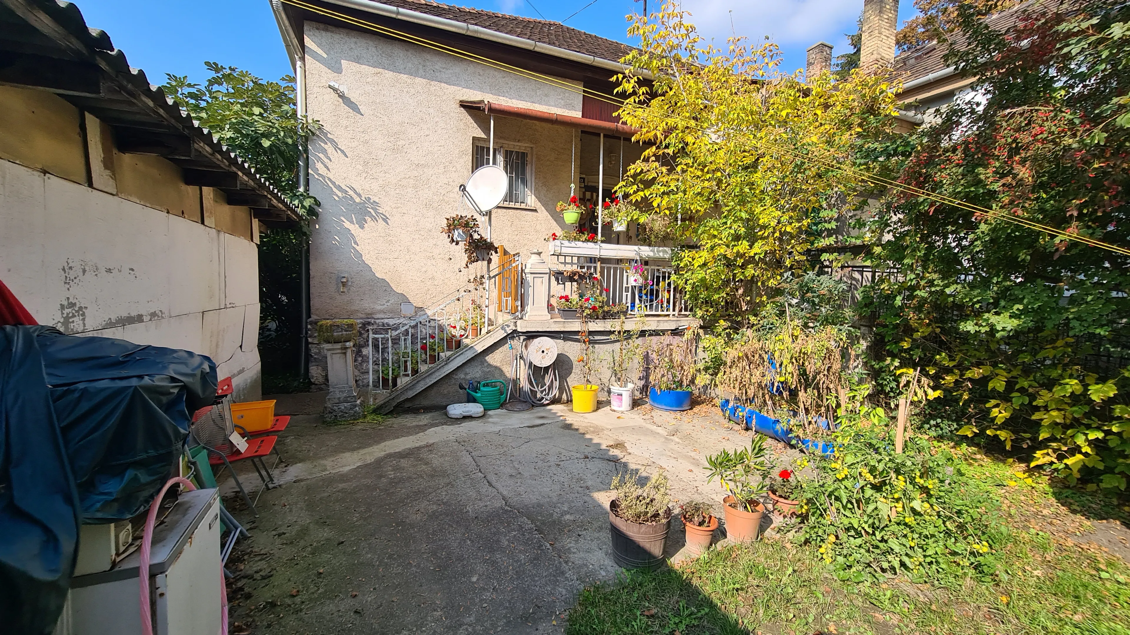 elado-ikerhaz-dorog-87392939-t6.webp