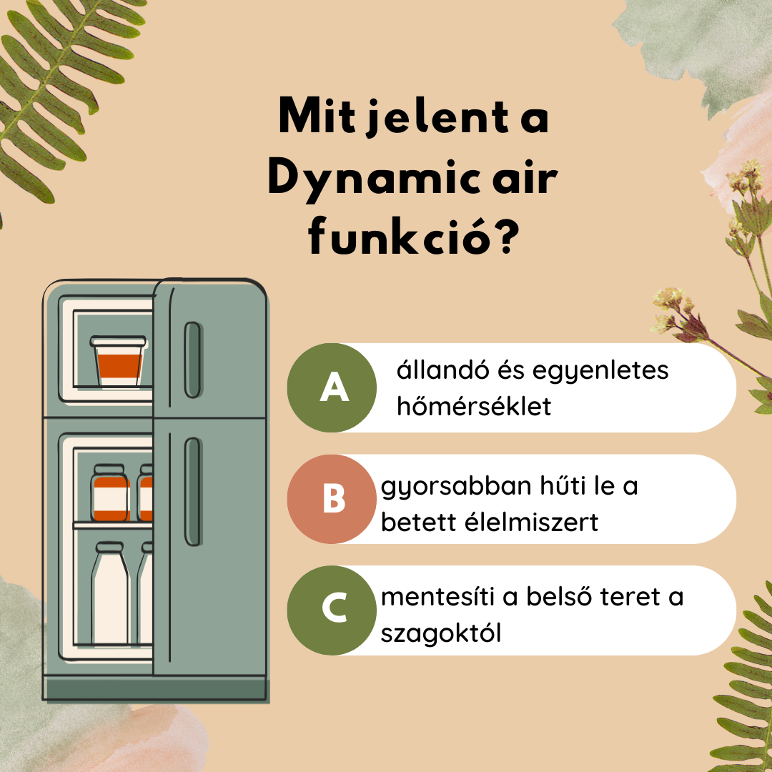 hűtő funkciói_dynamic air (1).png