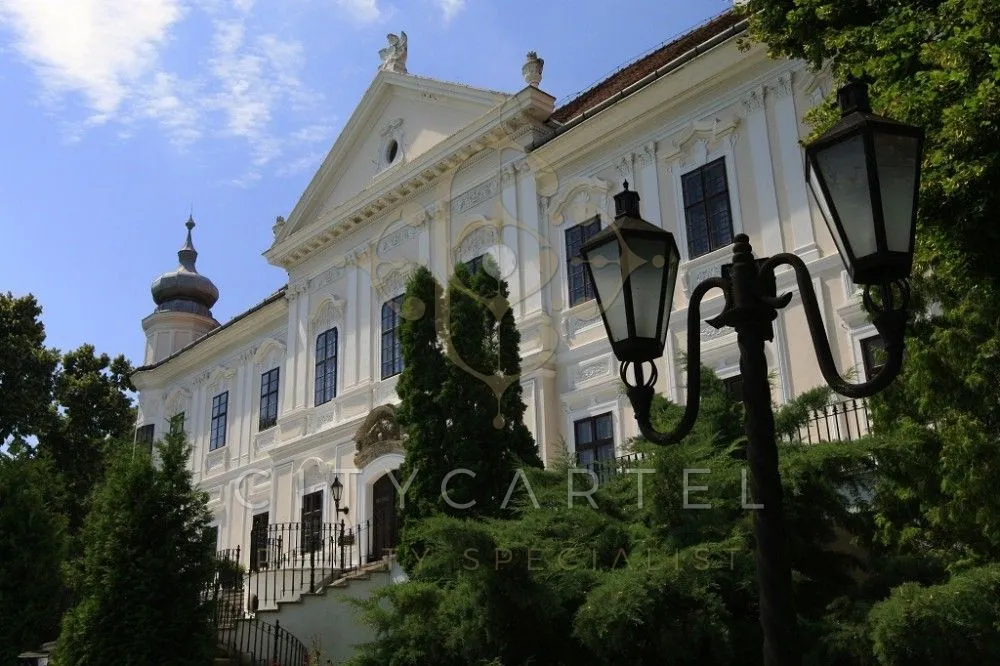 elado-villa-kastely-szirak-98199096-t6.webp