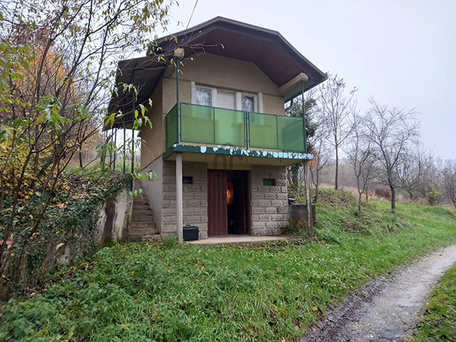 lenti.jpg
