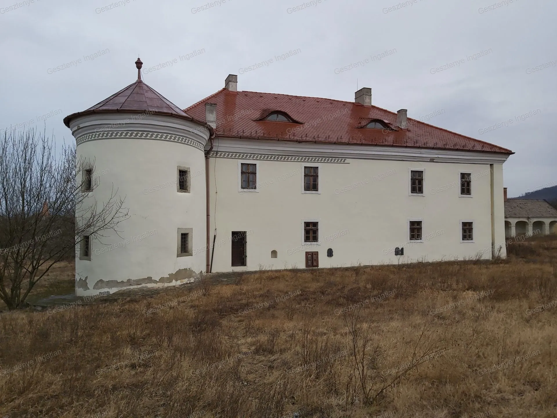 elado-villa-kastely-monok-91106203-t6.webp