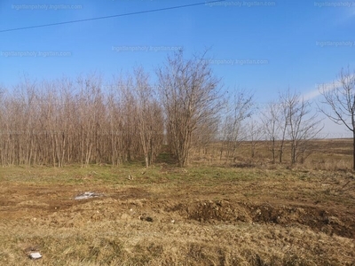 elado-egyeb-telek-gyomr-peteri.jpg