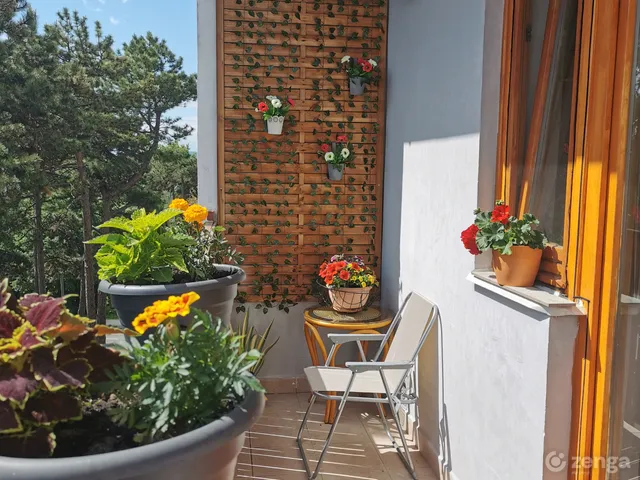 elado-teglalakas-veszprem-jutasi-uti-lakotelep-114296284-k1.webp
