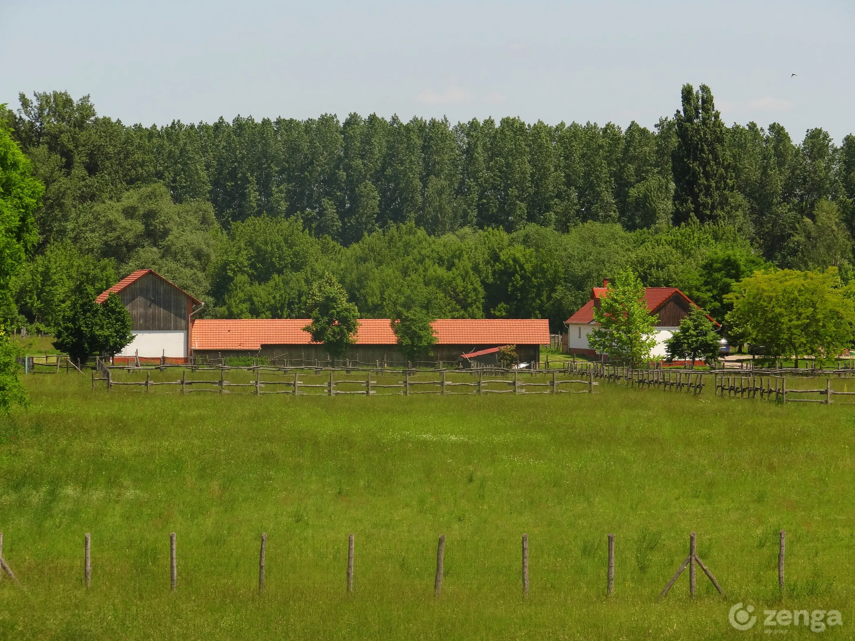 elado-kuria-jaszbereny-114300674-k6.webp