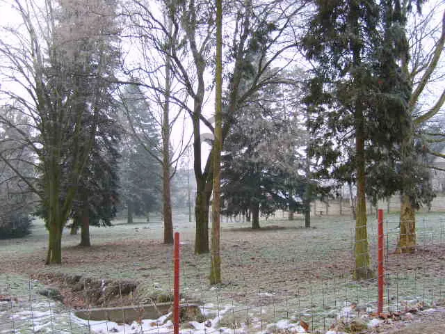 elado-epitesi-telek-zalaegerszeg-andrashida-114823658-t6.webp