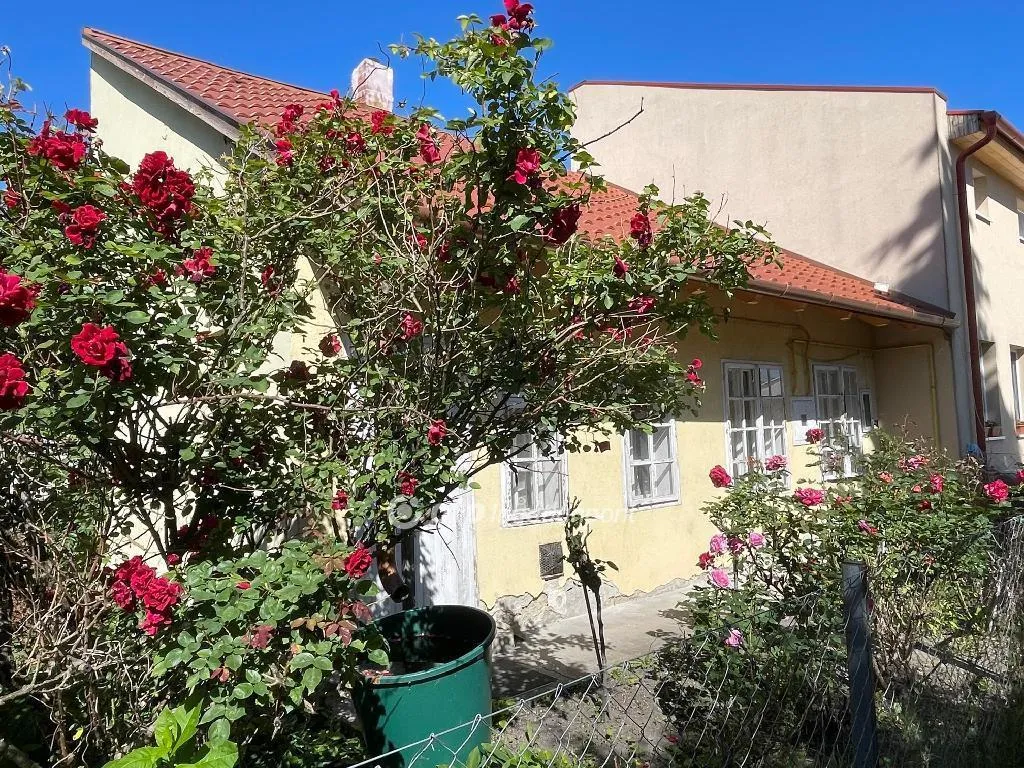 elado-csaladi-haz-szekesfehervar-belvaros-es-kornyeke-115055882-t6.webp