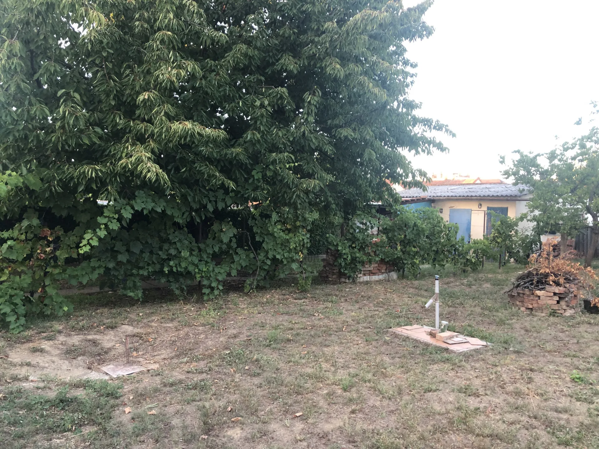 elado-ikerhaz-szolnok-szandaszolos-117839373-t6.webp