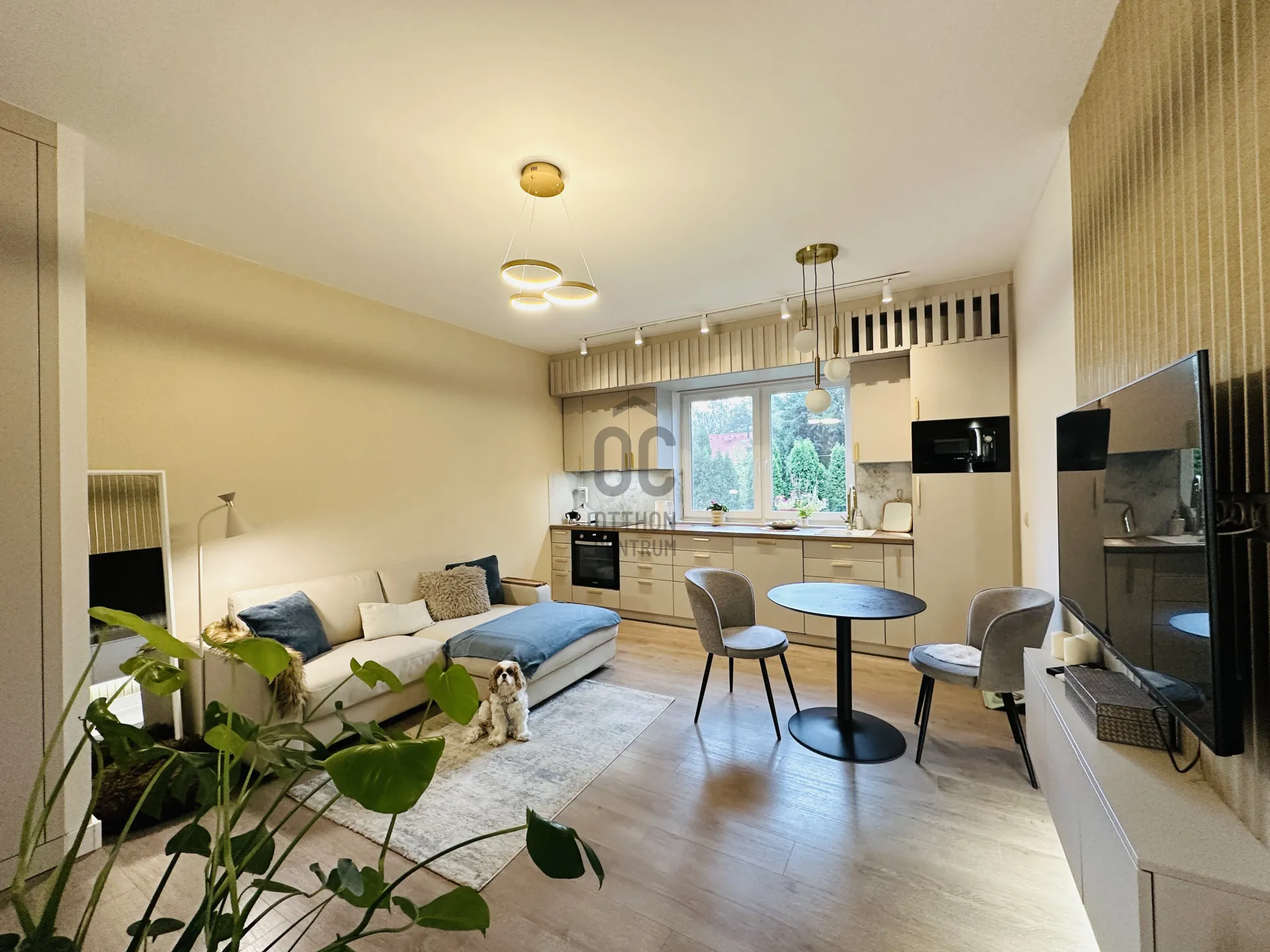 elado-teglalakas-budapest-xiv-kerulet-alsorakos-119459012-t6.webp