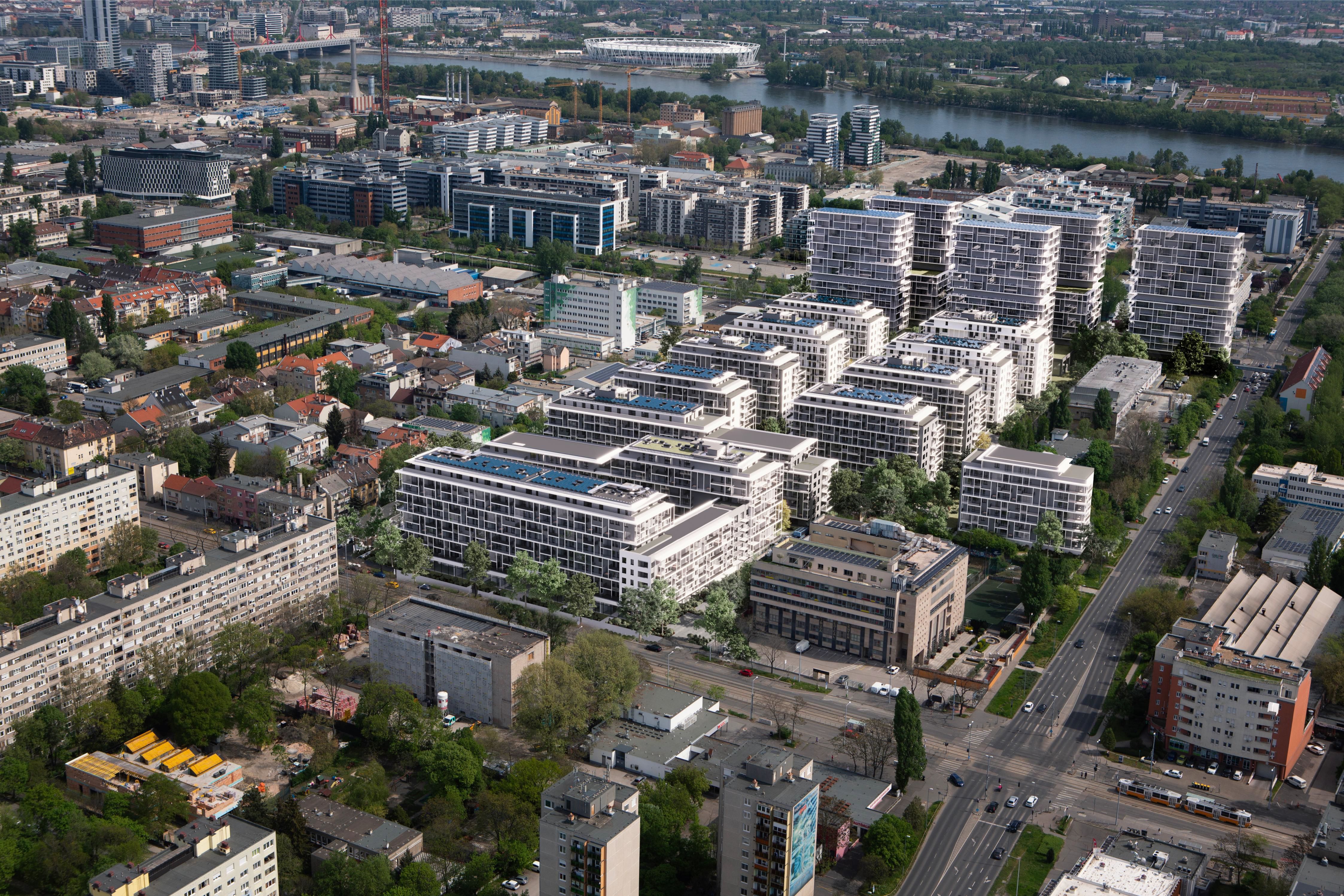 Revital x web (1).jpg