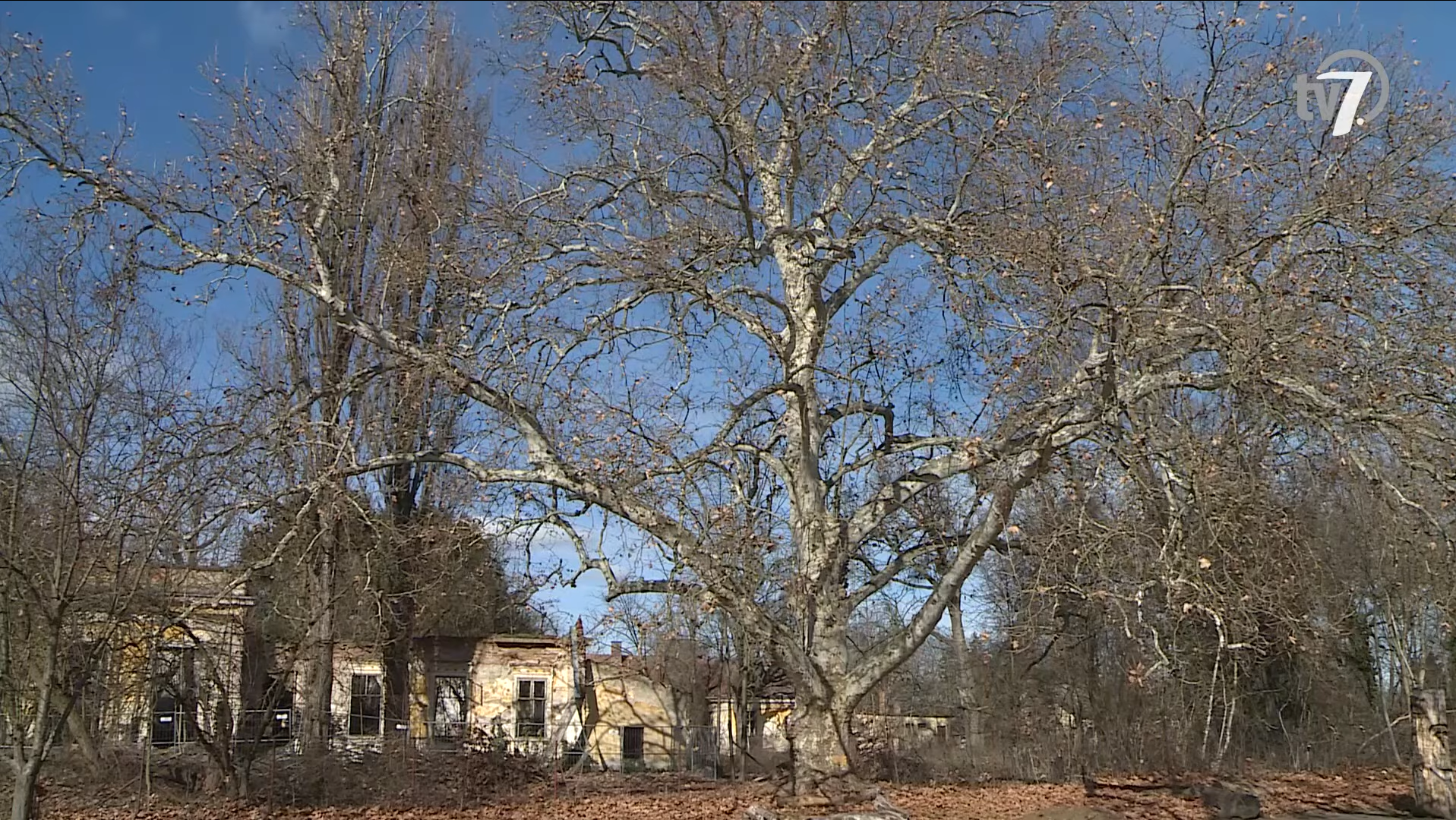 Képernyőkép 2026-02-24 135527.png