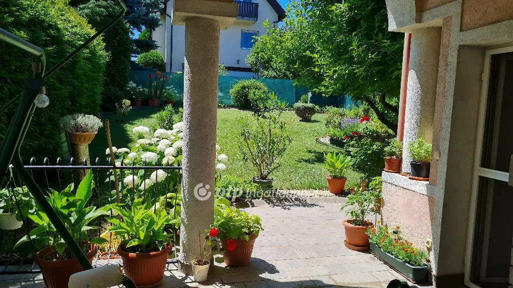 elado-csaladi-haz-budapest-ii-kerulet-128185363-t6.webp
