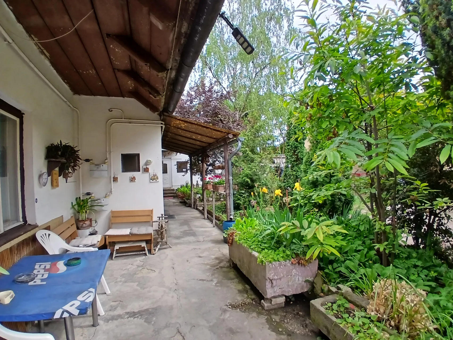 elado-csaladi-haz-szentendre-belvaros-128907541-t6.webp