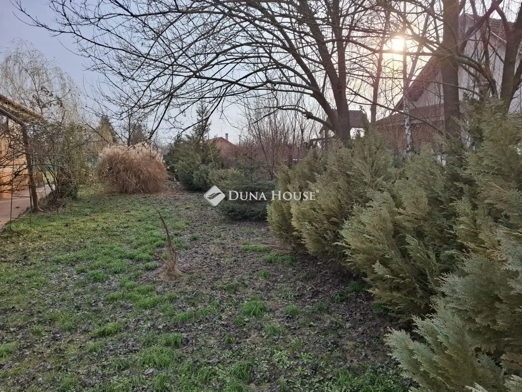 elado-kertes-haz-szeged-125261166-t6.webp