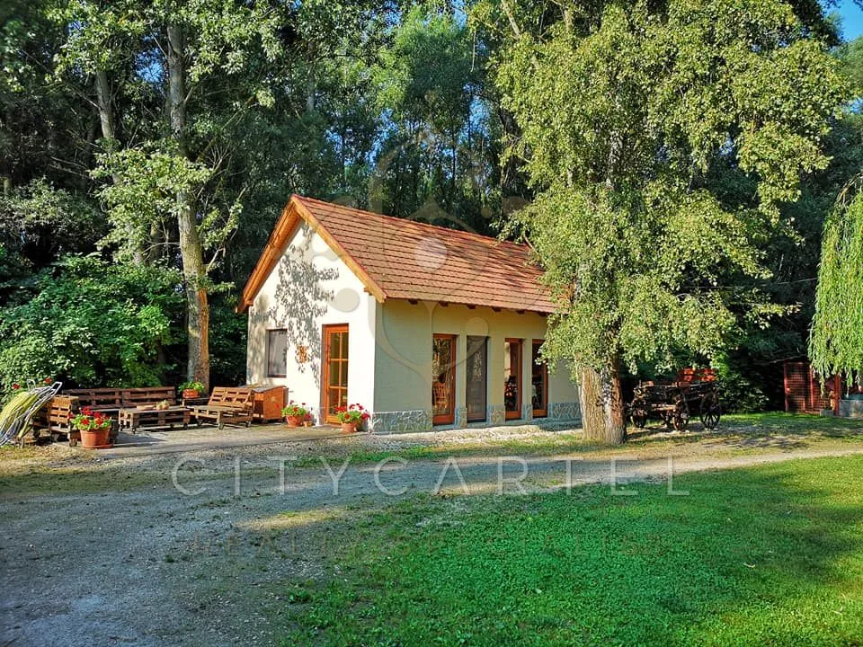 elado-villa-kastely-takacsi-127090855-t6.webp