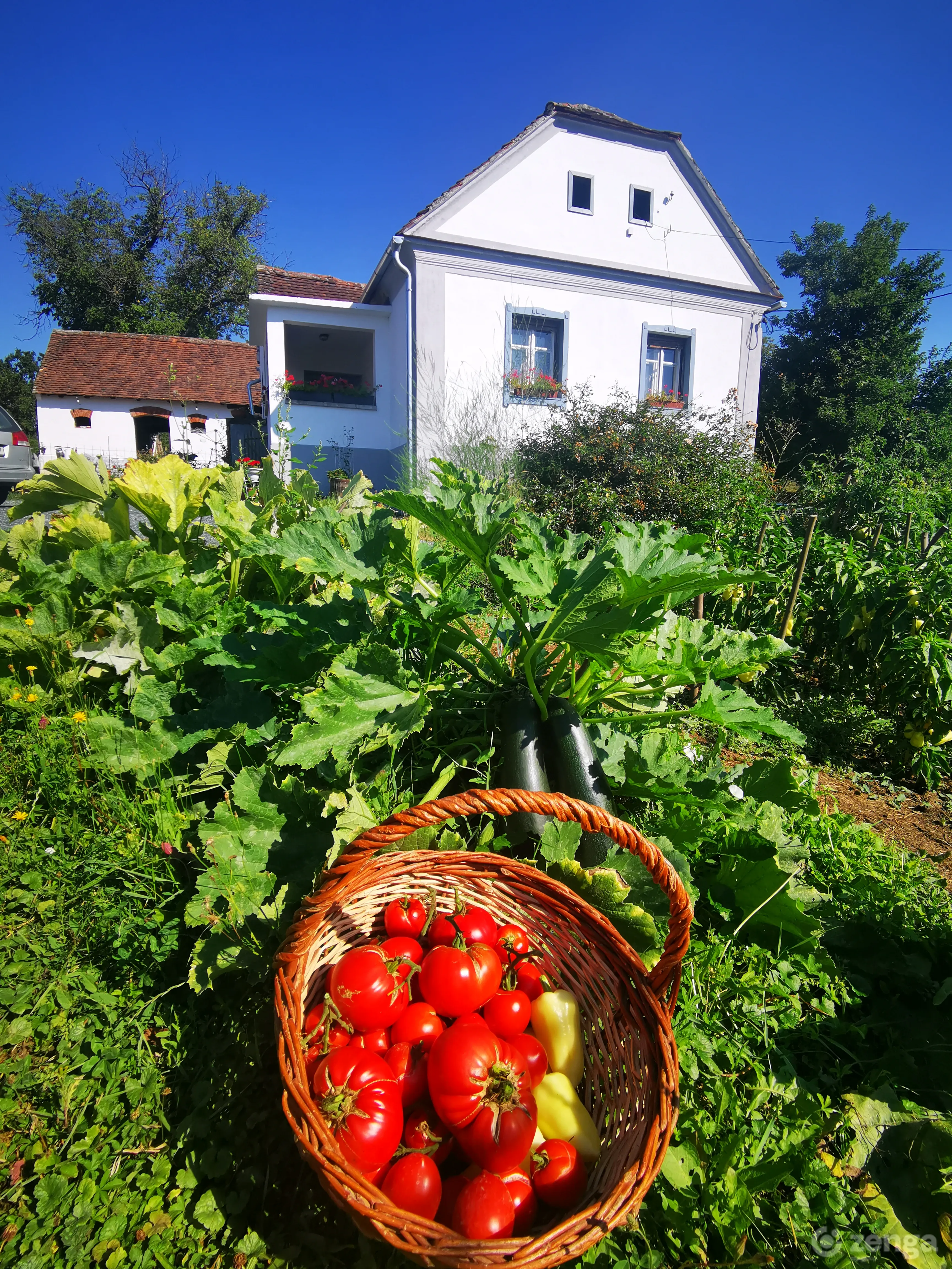 elado-csaladi-haz-hegyhatszentjakab-132343143-k6.webp