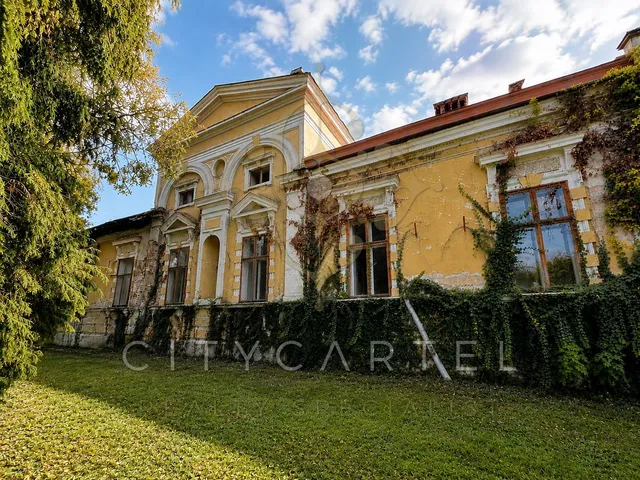 elado-villa-kastely-csepreg-130980014-t1.webp
