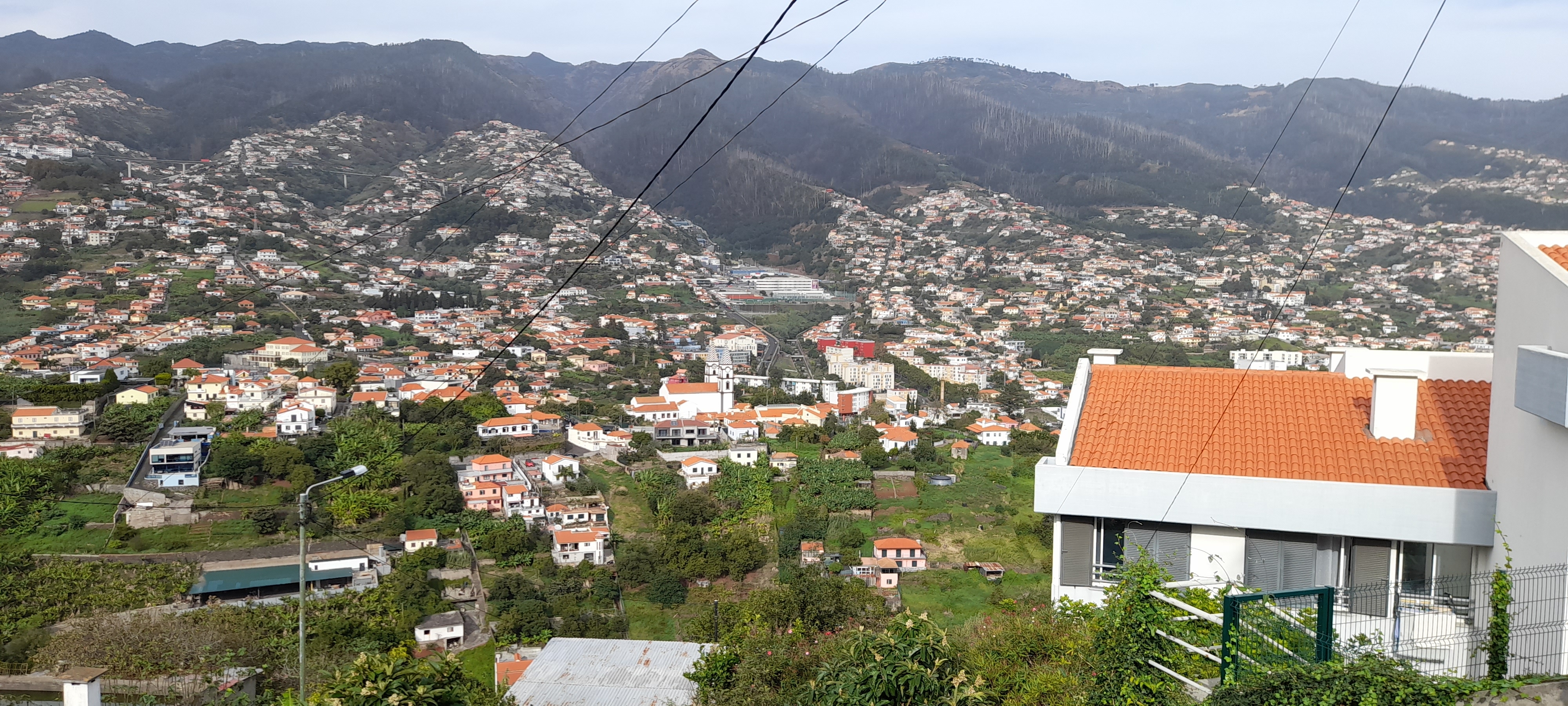 madeira.jpg