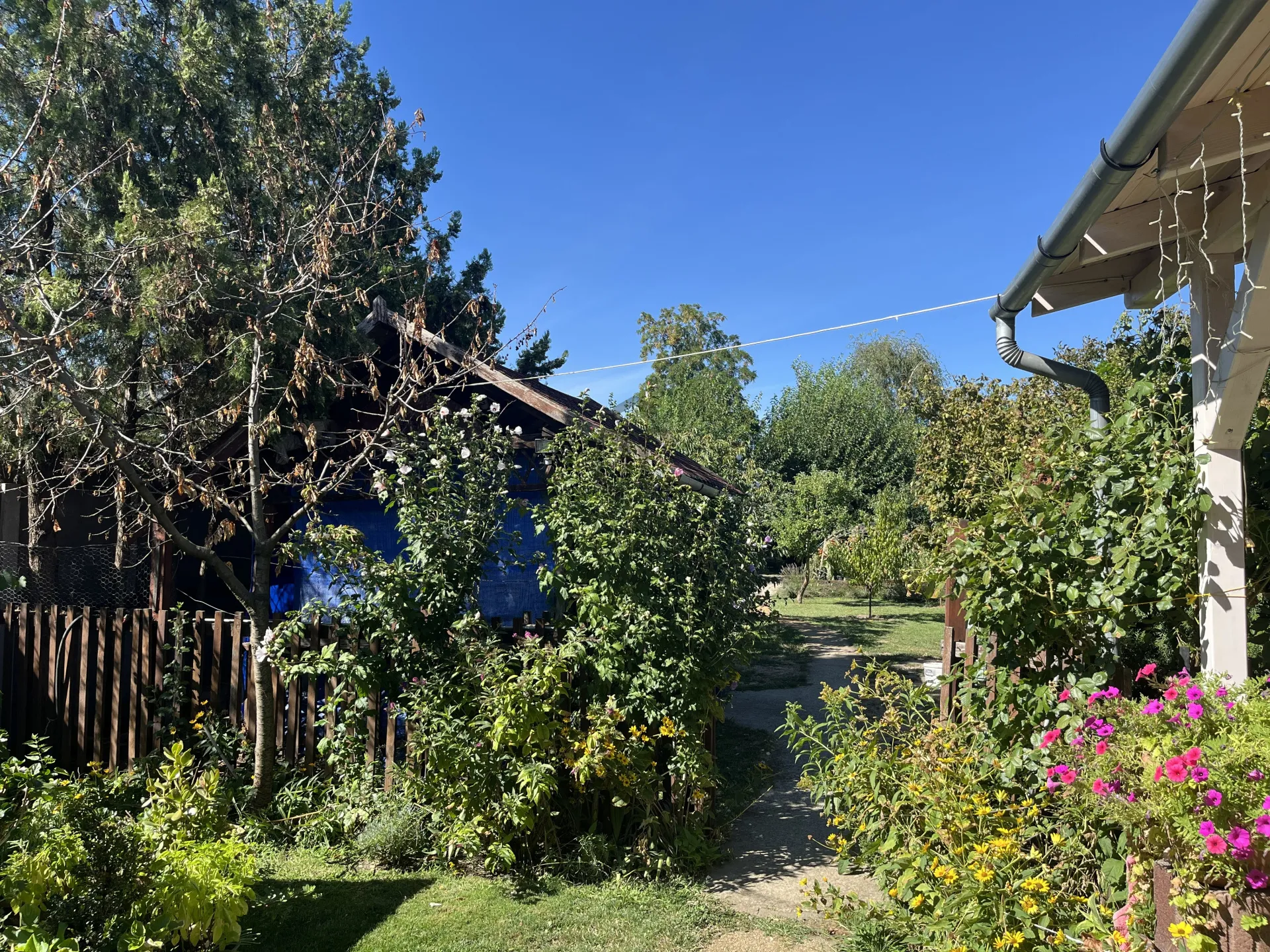 elado-csaladi-haz-debrecen-lencztelep-131515889-t6.webp