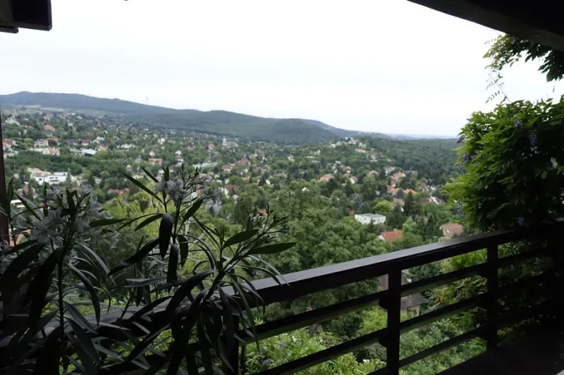 pano.webp