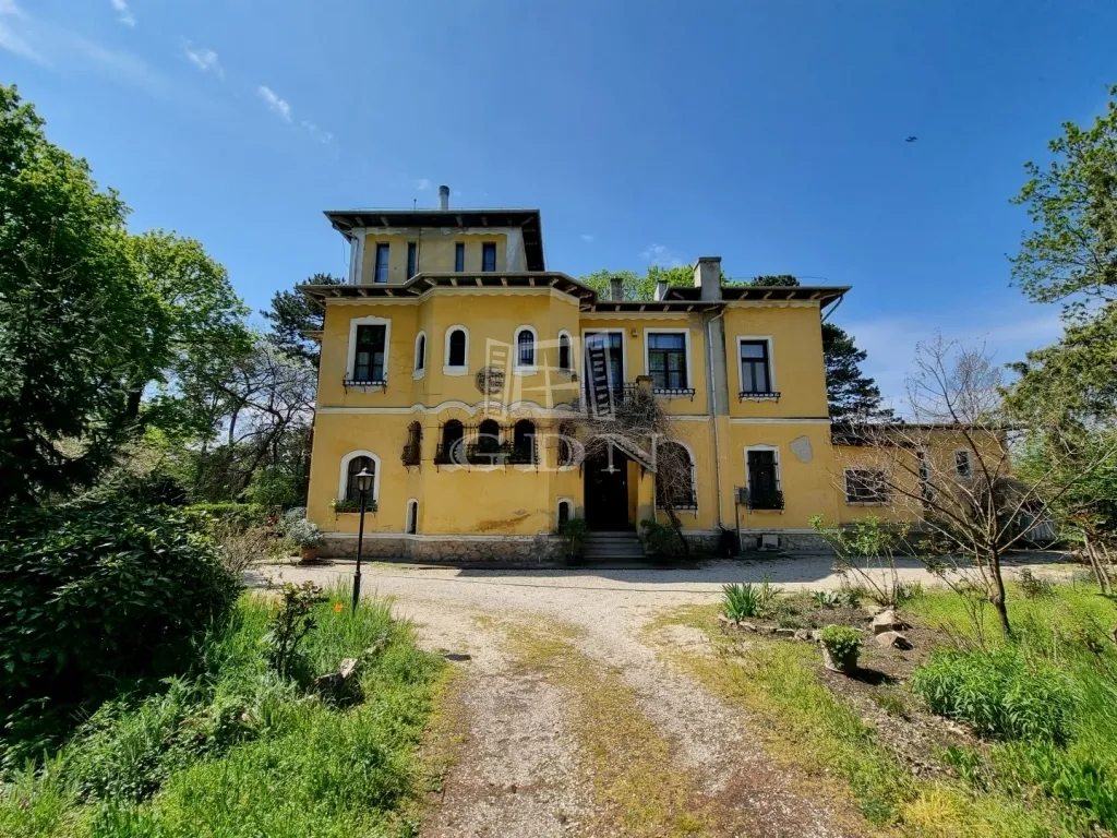 elado-villa-kastely-szabadbattyan-84825601-t6.webp