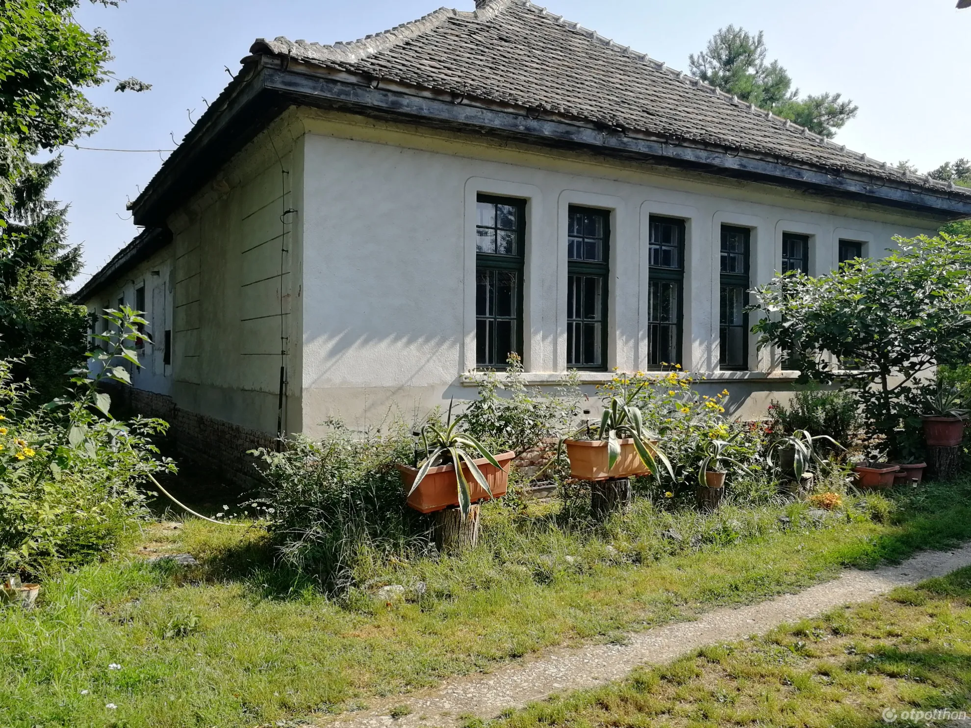 elado-kuria-somogyzsitfa-82403193-k6.webp