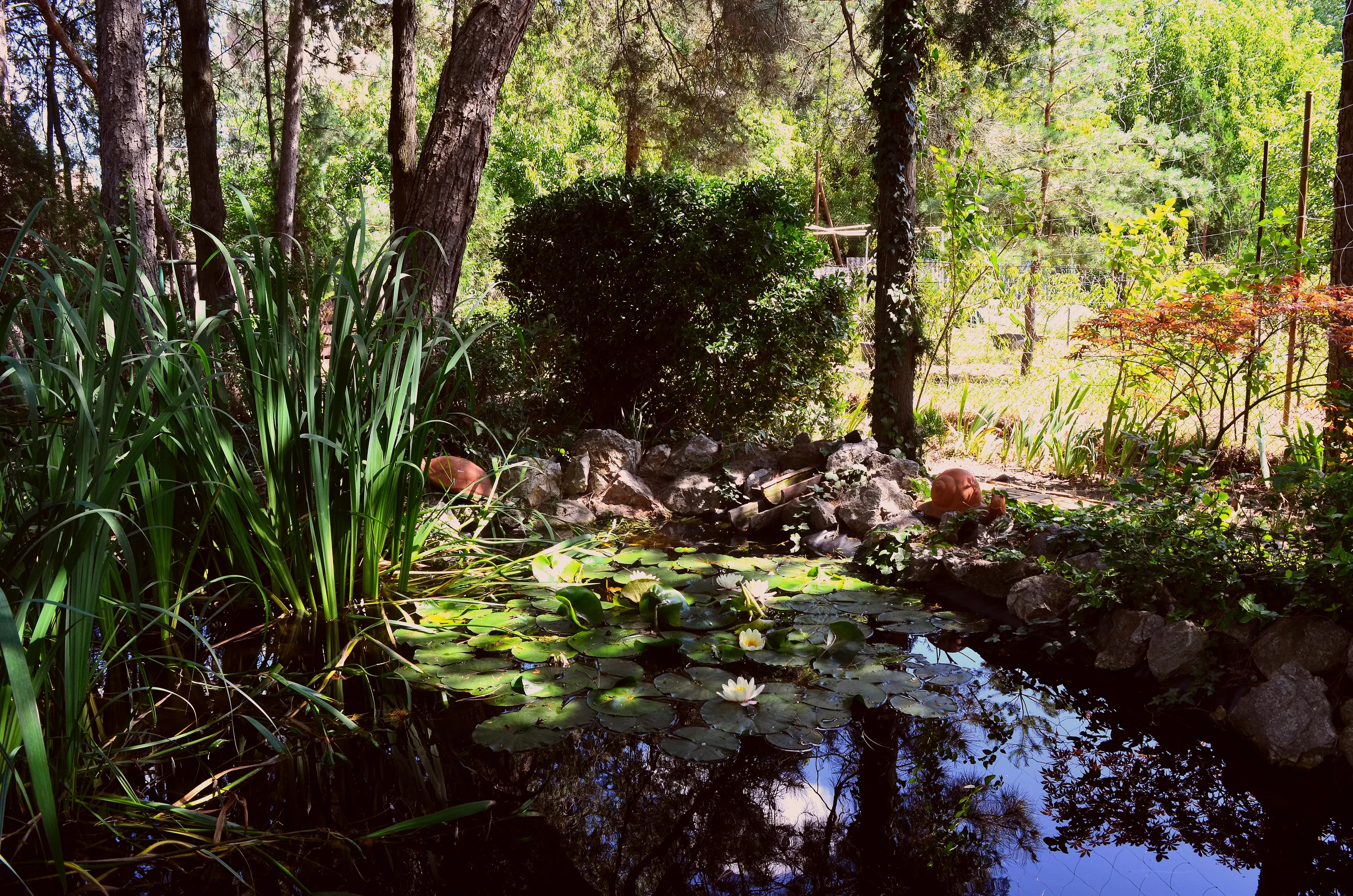 elado-csaladi-haz-dunakeszi-94413948-t6.webp