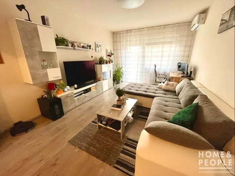 elado-teglalakas-szeged-makkoshaz-89294042-t6.webp