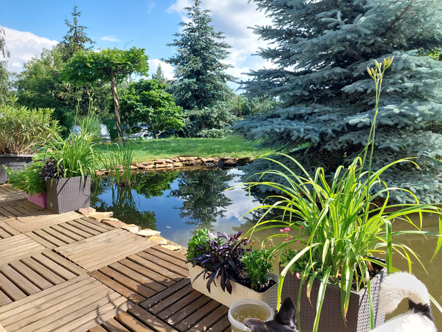 Erdőközeli, stéges vagy penthouse – ezekre vágynak leginkább a magyar ingatlanvásárlók