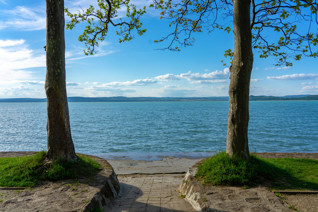 Külföldi piacokon elért eredményeiért díjazták a Duna House-t