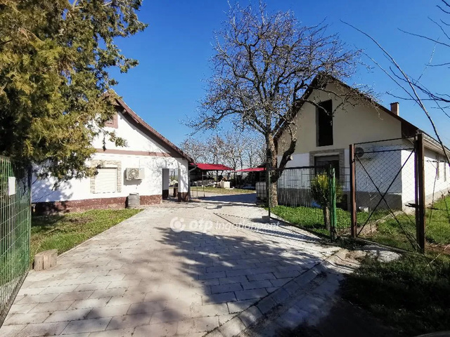 Vége az agglomerációs álomnak? Tanyasi romantika a slágertelepülések mögött, a Duna-parton