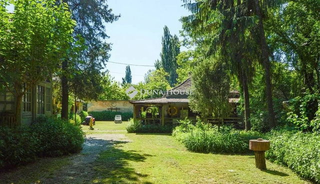 Vegyszermentesen – 4 természetes módszer a hangyák ellen