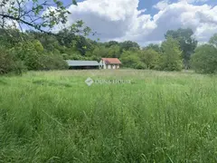 Nem bírod a szomszédaid? Ezek az ingatlanok jó megoldást nyújtanak
