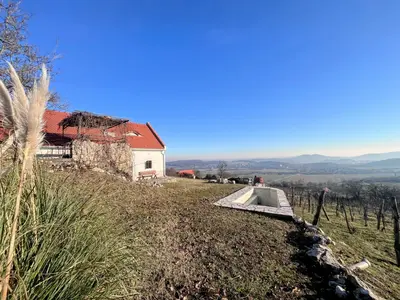 Présházakból, parasztházakból a legszebb otthonokat varázsolták a Balatonnál