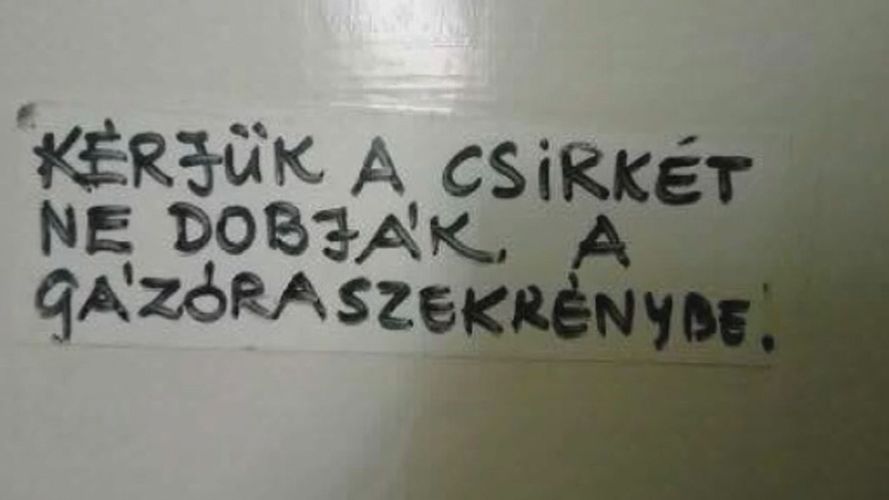 Kérjük, ne dobd a csirkét a gázórába!  - Újabb remek lépcsőházi üzenetek