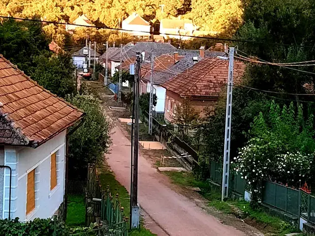 A legkisebb járás Balatonnal és a medvék birodalma
