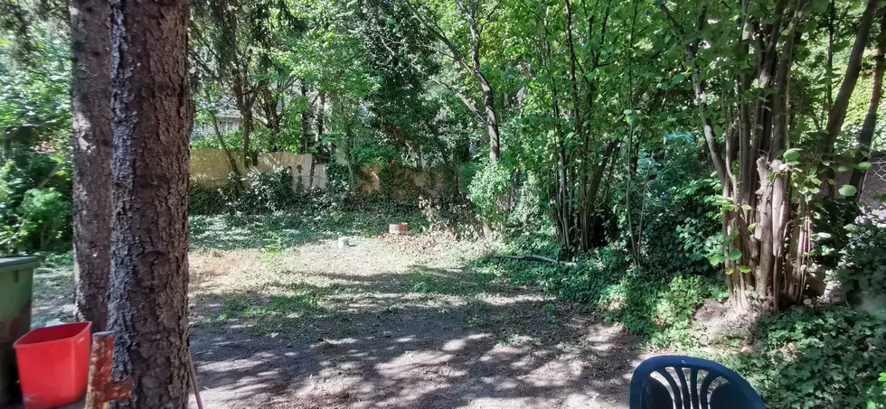 Mitől annyira menő a Rózsadomb, hogy köznevesült? És tényleg olyan drága?