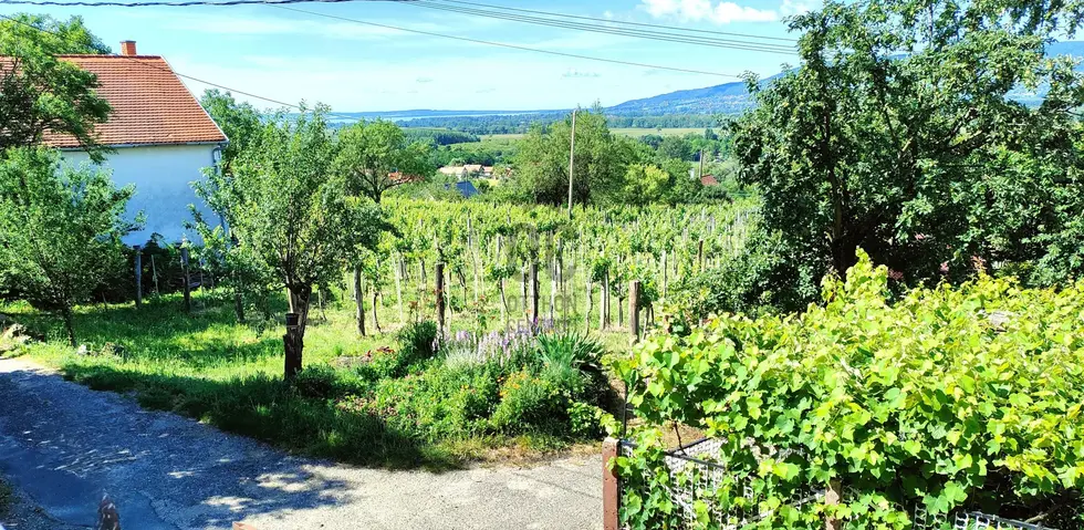 Hegyvidéki ajánlatok, fantasztikus panorámával