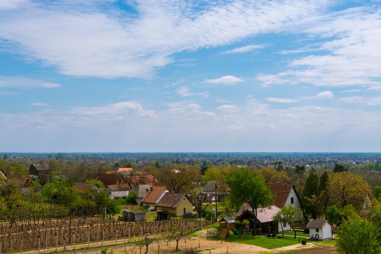 Nagy ház kevés pénzből, kertvárosias környezetben? A város, ahol ez a képlet működik is