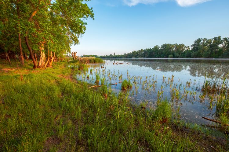 Ahol a folyó megpihen – izgalmas és bájos otthonok a Tisza-partján